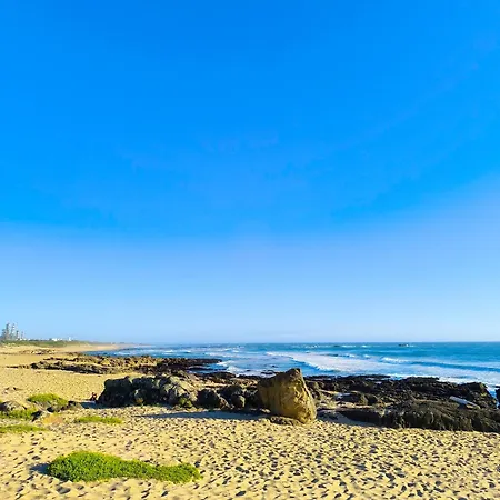 Guest house Casa Velha